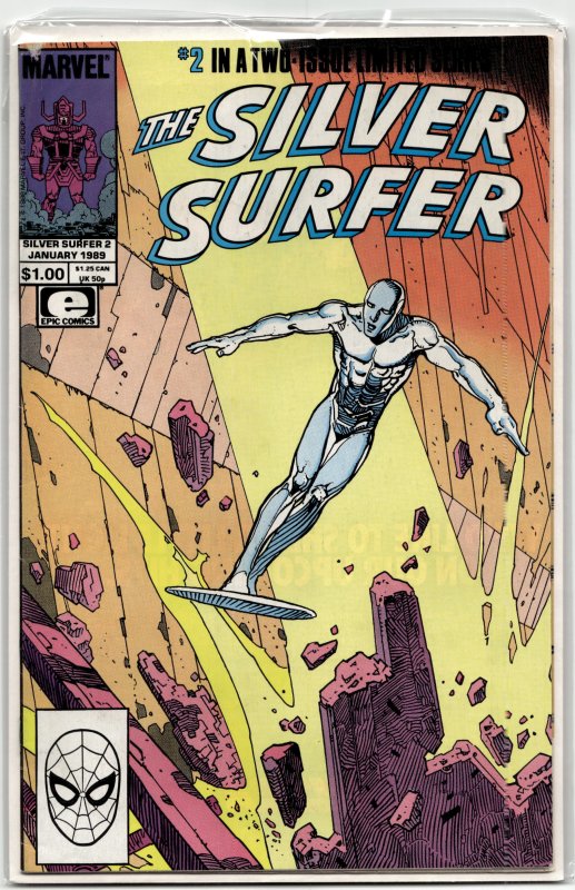 The Silver Surfer #2 (1989) Silver Surfer