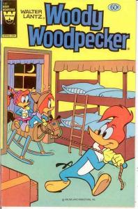 WOODY WOODPECKER 197 VF-NM  April 1982 COMICS BOOK