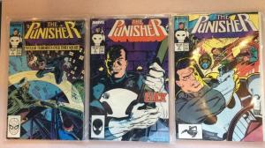 Punisher 2-7 Near Mint Lot Run Set