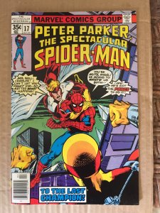 Peter Parker The Spectacular Spider-Man #17