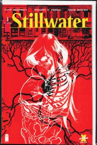 Stillwater #1 (2020)