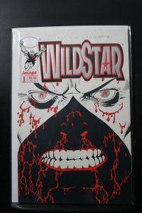 Wildstar: Sky Zero #1 (1993)