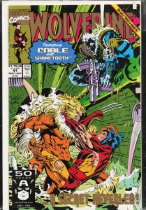 Wolverine #41 (1991) Wolverine