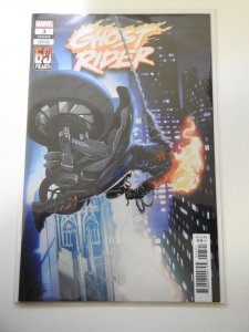 Ghost Rider #3 Variant Edition