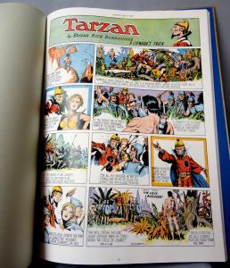 BURNE HOGARTH,The Golden Age of TARZAN,1939-1942 Signed & #,Edgar Rice Burroughs