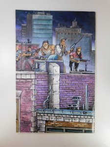 Raphael Teenage Mutant Ninja Turtle #1 (1985)