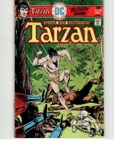 Edgar Rice Burroughs' Tarzan #244 (1975)