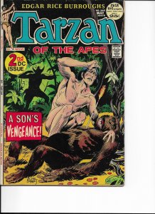 Edgar Rice Burroughs' Tarzan #208 (1972)