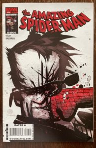 The Amazing Spider-Man #576 (2009)