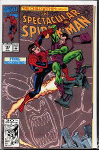 The Spectacular Spider-Man #183 (1991) Spider-Man