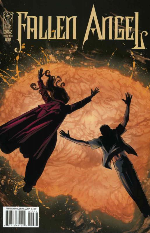 Fallen Angel (IDW) #30 VF/NM; IDW | save on shipping - details inside