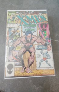 Classic X-Men #17 (1988)