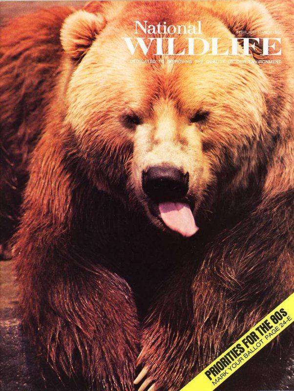 National Wildlife Magazine 1980
