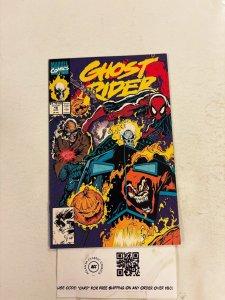 Ghost Rider #15 NM Marvel Comic Books Spider-Man Blaze Hobgoblin 29 HH83
