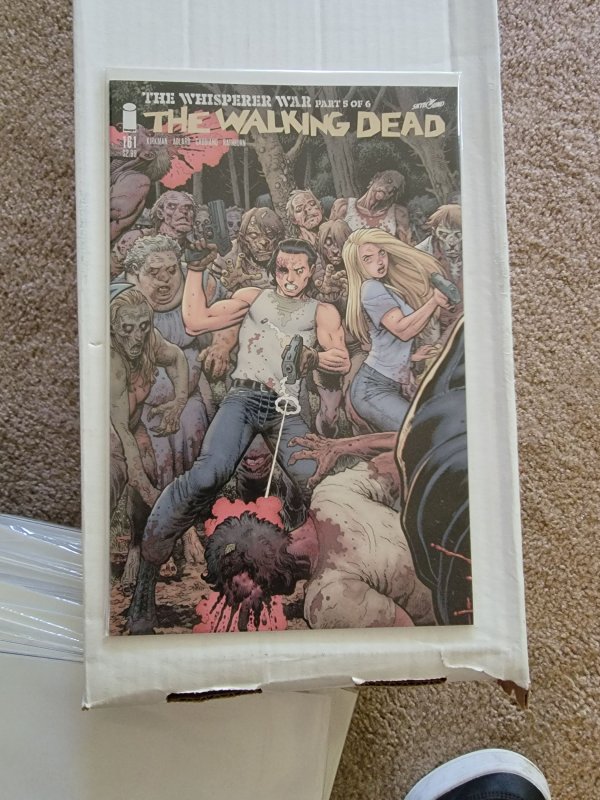 The Walking Dead #161 Variant Cover (2016)