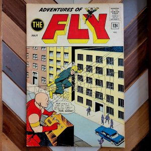 Adventures of THE FLY #26 VG (Archie Comics 1963) feat FLY GIRL & THE SPIDER 