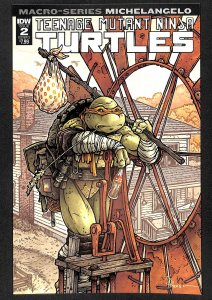 Teenage Mutant Ninja Turtles Macro-Series #2 (2018)