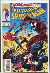 The Spectacular Spider-Man #202 (1993) Spider-Man
