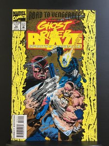 Ghost Rider/Blaze: Spirits of Vengeance #14 (1993)