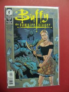 BUFFY THE VAMPIRE SLAYER #33 ART COVER (9.4 or better) DARK HORSE