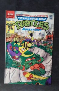 Teenage Mutant Ninja Turtles Adventures #18 (1991)