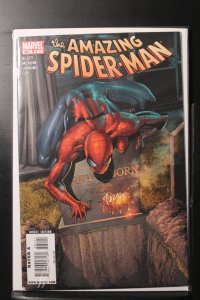 The Amazing Spider-Man #581 (2009)