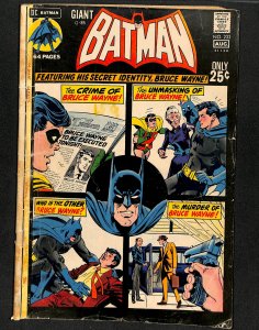 Batman #233