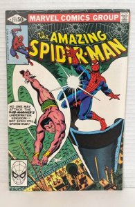 The Amazing Spider-Man #211 (1980)