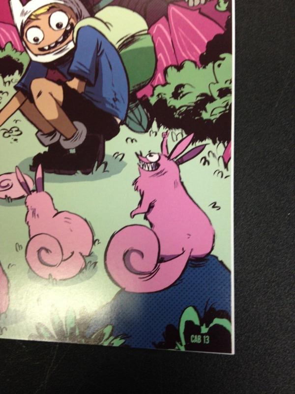 Adventure Time 18 Cover B Virgin Variant NM