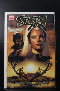 Storm #1 (2006)