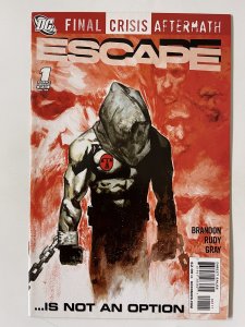Final Crisis Aftermath: Escape #1 - NM(2009)