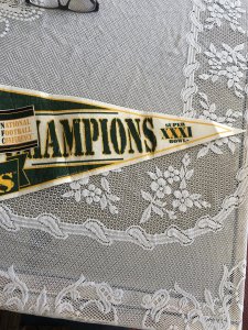 1996 Super Bowl champ Packers pennant pack w/ button&bumper sticker