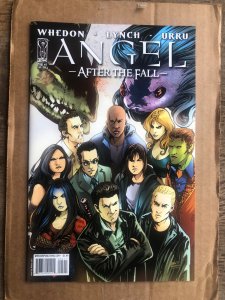 Angel: After The Fall Cover Gallery (2009)