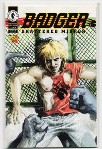 Badger: Shattered Mirror #1 (1994) Badger