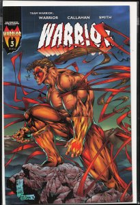 Warrior #3 Warrior