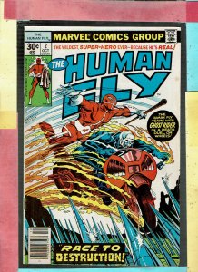 THE HUMAN FLY 2
