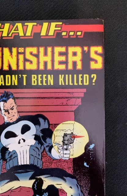 What If? The Punisher's Family Hadn't Been Killed? Direct Edition #...