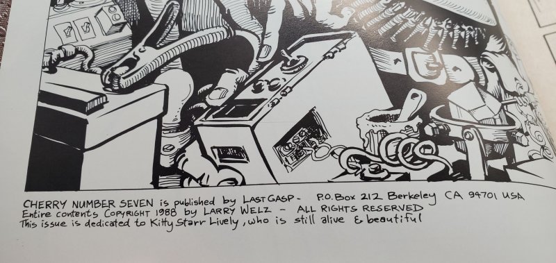 Cherry Poptart #7 (1988)