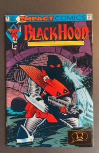 The Black Hood #1 (1991)