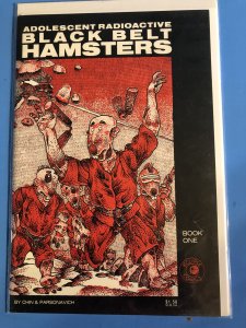 Adolescent Radioactive Black Belt Hamsters #1 (1986) HIGH QUALITY