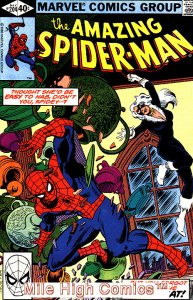 SPIDER-MAN  (1963 Series) (AMAZING SPIDER-MAN)  #204 Very Fine Comics Book