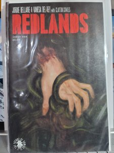 Redlands #1 (2017)
