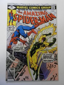 The Amazing Spider-Man #193 (1979) FN+ Condition!