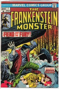 The Frankenstein Monster #7 (1973) Frankenstein Monster