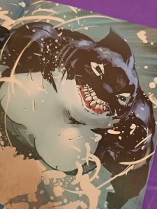 Shush BATMAN and ROBIN 5 Jorge Molina Cover NM