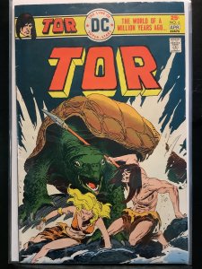 Tor #6 (1976)