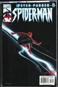 Peter Parker: Spider-Man #25 (2001) Spider-Man