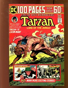 Tarzan #231 - Joe Kubert Cover 100 Pages! (8.0) 1974