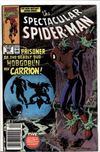 The Spectacular Spider-Man #163 (1990) Spider-Man