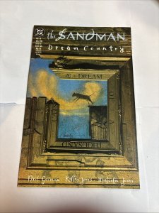 Sandman (1990) # 18 (NM) ERROR EDITION • Blue Panels Variant  • DC Vertigo